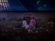 Rose Garden, Frizbat