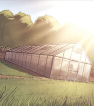 Greenhouse