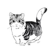 Clary's sketch of Chairman Meow in her copy of the Shadowhunter's Codex.