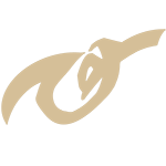 VF Rune, Transmission