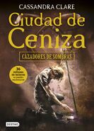 COA cover, Spanish 02