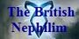 BN banner.jpg