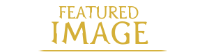 SHmainpage-image.png