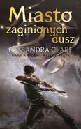 3rd Polish cover