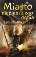 3rd Polish cover