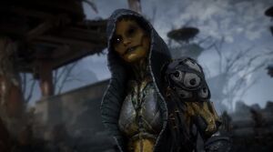 10 Coisas Loucas Que Você Não Sabia Sobre Os Personagens Principais De Mortal  Kombat 11