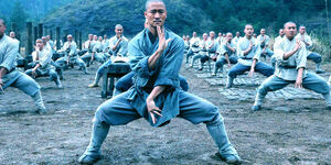 Shaolin kung fu.jpg