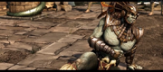 Kotal4