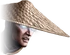 Headraiden