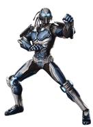 CSZ ren