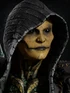 Dvorahmk11i
