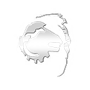 Iconkanovar5mkx