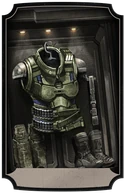 Combatvest sonya post