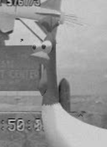 Mort the Chicken (character) | Mort the Chicken Wiki | Fandom