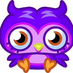 Love jinx owl