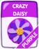 Purple Crazy Daisy.png (25 KB)