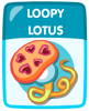 Loopy Lotus.png (27 KB)