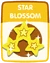 Star Blossom old