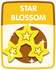 Star Blossom old