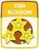 Star Blossom old.png (35 KB)