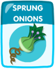 Sprung Onions.png (54 KB)