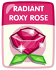 Radiant Roxy Rose