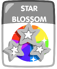 Star Blossom.png (32 KB)
