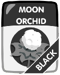 Black Moon Orchid