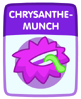 Chrysanthemunch.png (22 KB)
