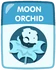 Moon Orchid old.png (23 KB)