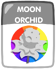 Moon Orchid.png (21 KB)