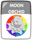 Moon Orchid