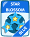 Blue Star Blossom