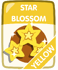 Yellow Star Blossom.png (35 KB)