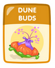 Dune Buds