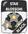 Black Star Blossom.png (63 KB)