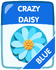 Blue Crazy Daisy