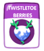 Twistletoe Berries