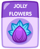 Jolly Flowers