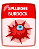 Splurgee Burdock.png (25 KB)