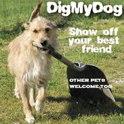 Logo - Dig My Dog