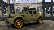 Gold Rims for Mudpluggers