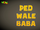 Ped Wale Baba