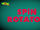 Spin Rotator