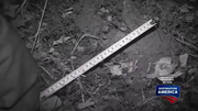Lizard demon footprint.png