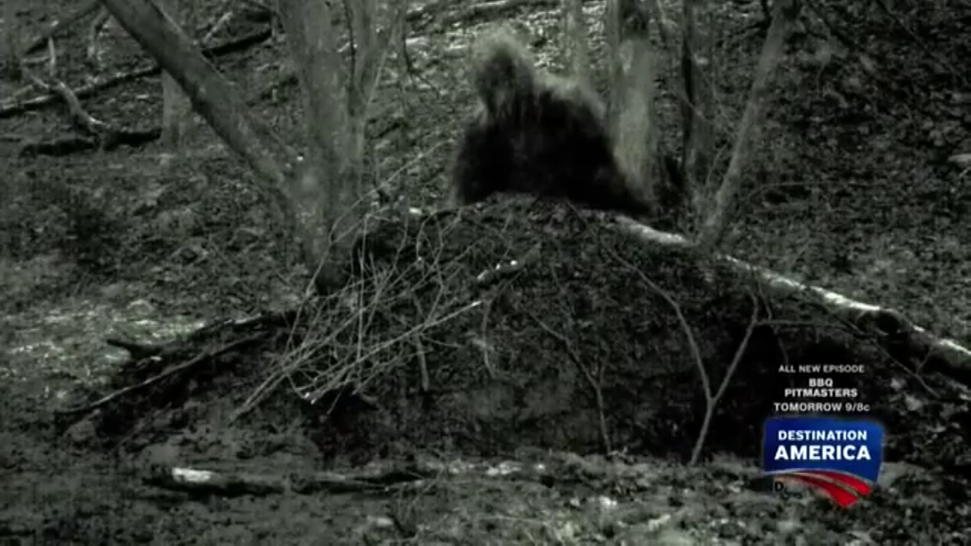 Bigfoot Encounters in Ohio: Quest for the Grassman