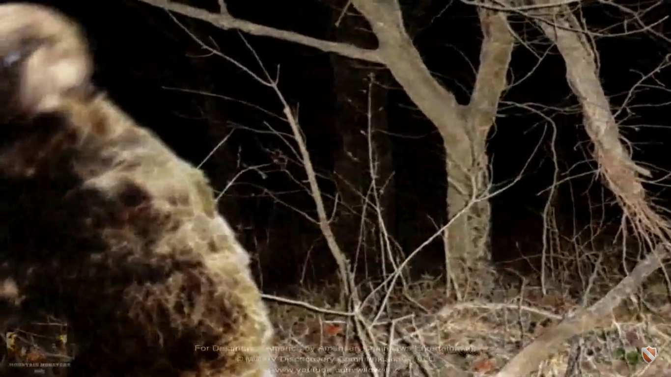 Sheepsquatch of Boone County | Mountain monsters aims Wikia | Fandom