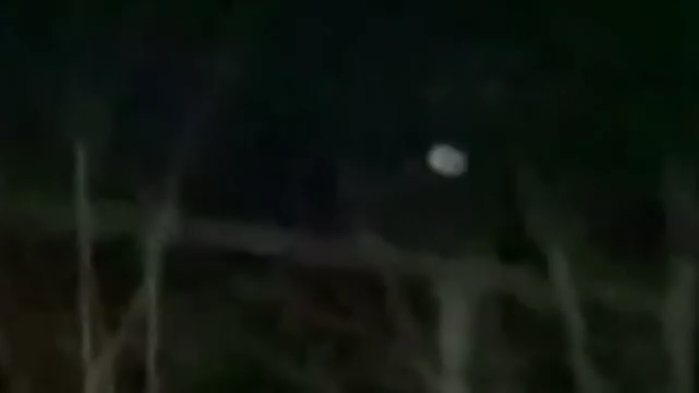 Mothman on film.png