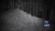 Lizard demon nest.png