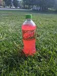 Photograph of a Major Melon 20 oz. Sidekick bottle outside.